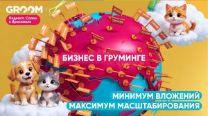 Бизнес в груминге. Минимум вложений. Максимум масштабирования