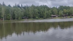 Поимка карпа на Pop -Up, с использование флэт кормушки