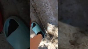 36.mp4