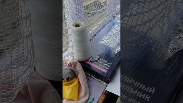 5337.mp4 смотреть онлайн
