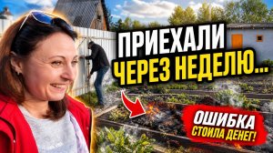 ПРИЕХАЛИ НА ДАЧУ ЧЕРЕЗ НЕДЕЛЮ И ТУТ НАЧАЛОСЬ…/ОШИБКА КОТОРАЯ НАМ СТОИЛА ДЕНЕГ/
