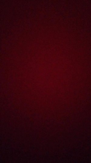 Я Котик сепер саса
