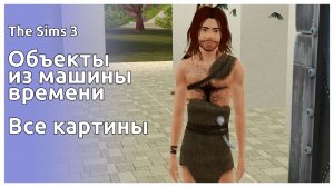The Sims 3 || Объекты из машины времени || Все картины