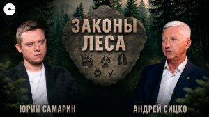 Охота — это регулирование природы. Разбираем квоты, мифы, законы и роль охотника в природе