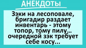 На лесоповале, зэк требует себе косу... | Анекдоты смешные | Юмор