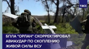 БПЛА «Орлан» скорректировал авиаудар по скоплению живой силы ВСУ