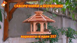Скворечники и кормушки своими руками для птиц (257) 🪚🪛🔨 Идеи для дачи и сада пошагово ❣️