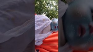 вечерняя прогулка