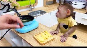 Чудесная жизнь маленькой обезьянки 8ч.🙈🗿🐒🐵