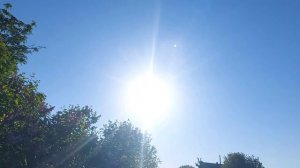 Утро на даче🌞