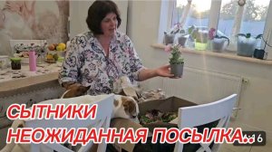 САМВЕЛ АДАМЯН, СЫТНИКИ, НЕОЖИДАННАЯ ПОСЫЛКА..