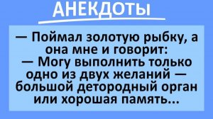 Выбирай: Большой мужской орган или хорошая память?... | Анекдоты смешные | Юмор