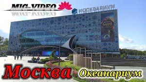 Московский океанариум.сент.2023г.