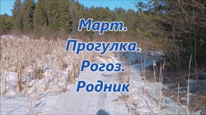 МАРТ. ПРОГУЛКА. РОГОЗ. РОДНИК