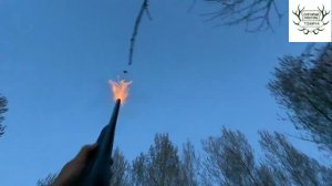 Бомбическая охота на Вальдшнепа 2026 Норма взята