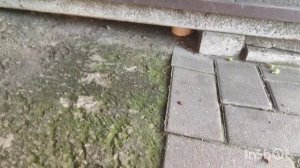Перенервничала из за котёнка 🐈