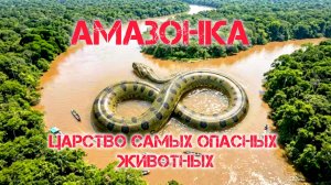 АМАЗОНКА: царство самых опасных животных планеты!