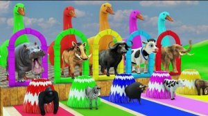 Игра «Длинный слайд» с коровой, слоном, гориллой, бегемотом, тигром. Забавная 3D-игра с животными