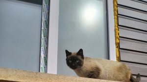 Реальные будни дома: показываю всё без прикрас