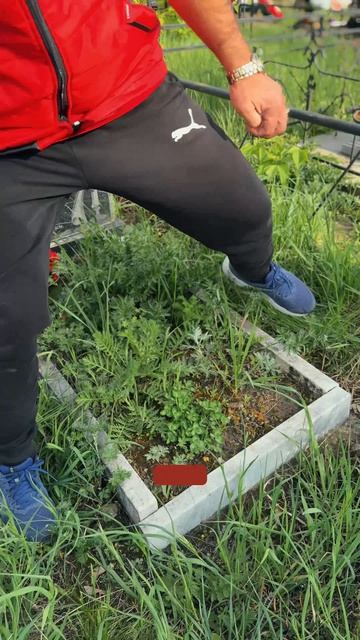 Серьезные ошибки на захоронении, которые привели к проблемам!   #гранитпамяти #памятникиизмрамора