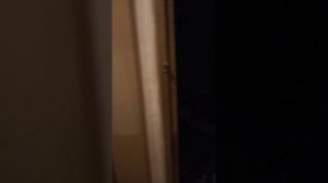 1000067359.mp4