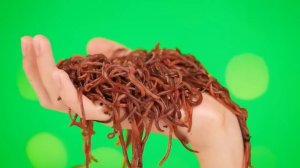 Выбери Правильный Ключ Челлендж   Сумасшедший Челлендж от Multi DO Challenge