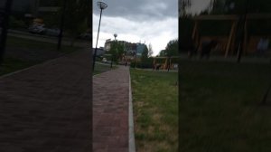 Субеевы до встречи в Норильске😥😢😭