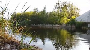 Квартира. Страшные истории на ночь. Мистика. Страшилки на ночь.