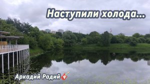 Наступили холода... (авторская песня)