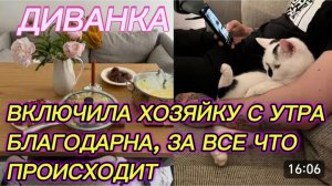 САМВЕЛ АДАМЯН, МИСС ВОНГ, ВКЛЮЧИЛА ХОЗЯЙКУ, БЛАГОДАРНА ЗА ВСЕ, ЧТО ПРОИСХОДИТ..