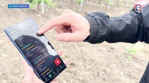 На виноградниках Севастополя тестируют роботов и искусственный интеллект