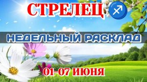 СТРЕЛЕЦ♐ Недельный расклад 01-07 ИЮНЯ /Таро Прогноз/Сферы жизни