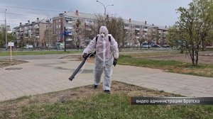 Братчан забыли предупредить о проведении обработки парков от клещей