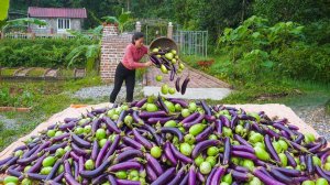 Собрала много баклажанов и овощей на продажу — удобрите почву и посадите новый урожай.