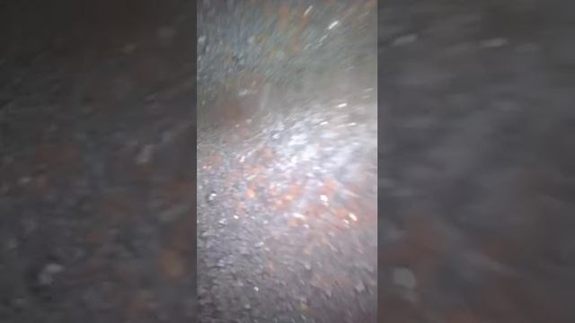 151790 смотреть онлайн