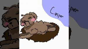 Каспер