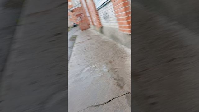 под дождём