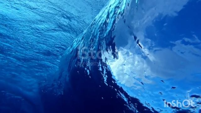 5755.mp4 смотреть онлайн