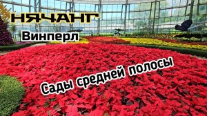 Цветы средней полосы, оранжиреи на Винперле.