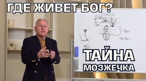 Физиология греха: почему мы перестали слышать Бога? | Луценко Юрий Николаевич