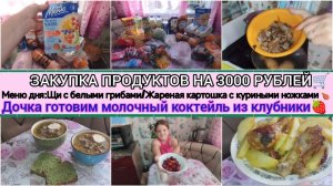 ✅МЕНЮ ИЗ ПРОСТЫХ ПРОДУКТОВ.✨БЮДЖЕТНЫЕ РЕЦЕПТЫ.🤗ЗАКУПКА НА 3000 РУБЛЕЙ В МАГАЗИНЕ ЧИЖИК 🐦🛒