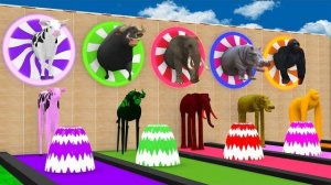 Игра «Длинный слайд» с коровой, слоном, гориллой, бегемотом, тигром. Забавная 3D-игра с животными