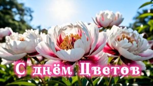 С днем цветов! 21 июня день цветов