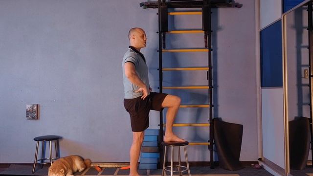 Выравнивание лодыжки, костные ориентиры конечностей, стопа по В. Янда, положение тбс, тенсегрити
