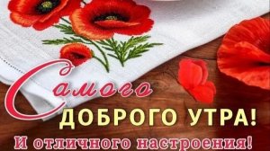 УТРЕННЯЯ ПОЧТА! ИНТЕРНЕТ ЗА ПОСЛУШАНИЕ! ВАСЕВСКИЙ -ЭПАТИРУЕТ ЯЗЫКОМ!
