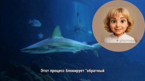 Антидепрессанты