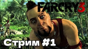 Far Cry 3 ( Фар Край 3 ) Прохождение. Стрим №1 Русская озвучка.