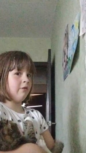всё правильно делаем с кошками.