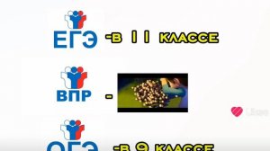 впр сука рядом
