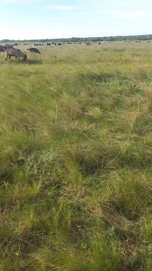 Утро пятницы
